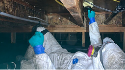 Mold Remediation