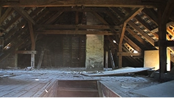 Attic Mold Remediation
