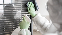 Real Estate Mold Services