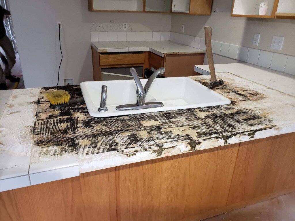 Mold in kitchen
