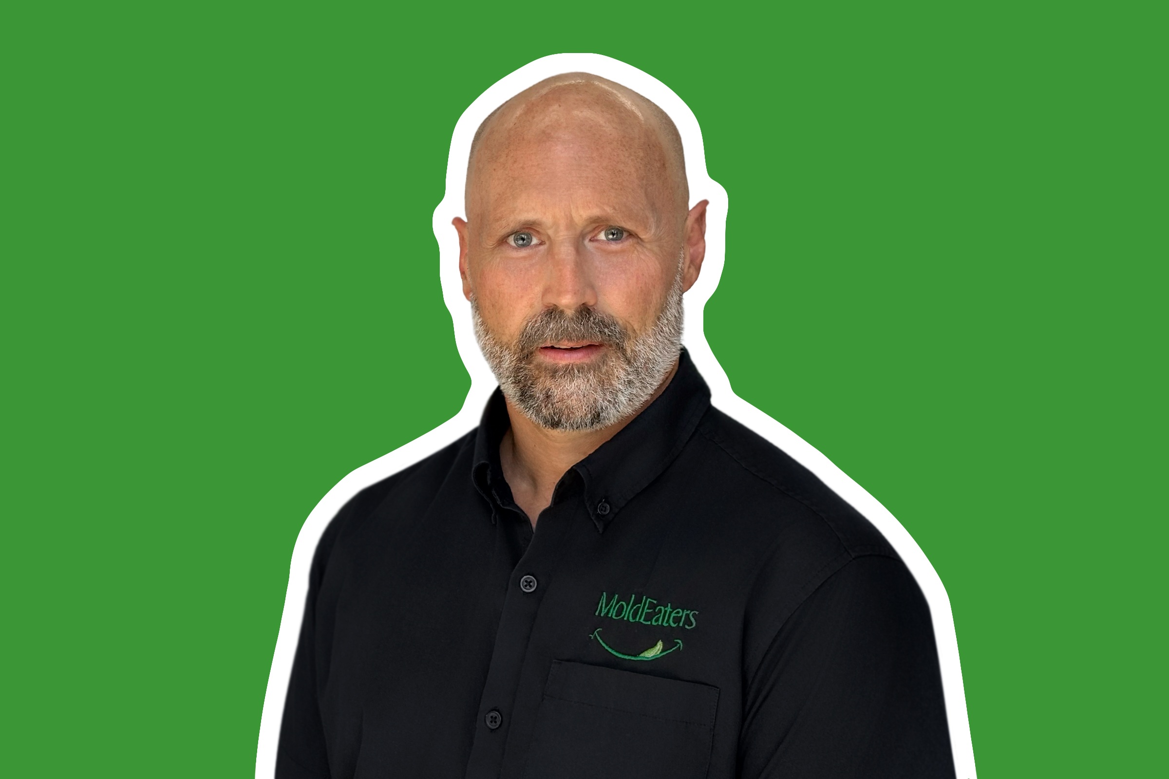 team image