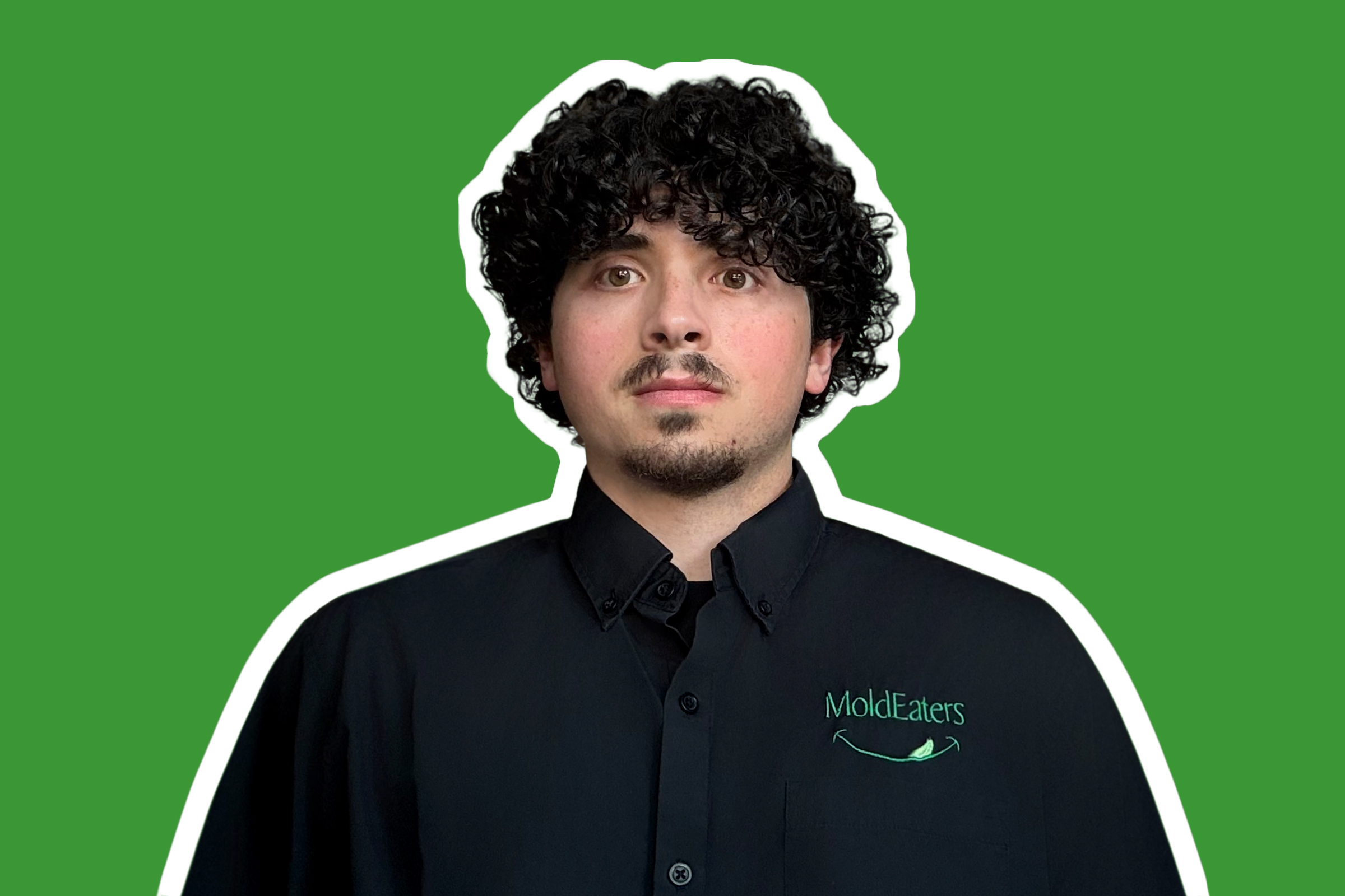 team image