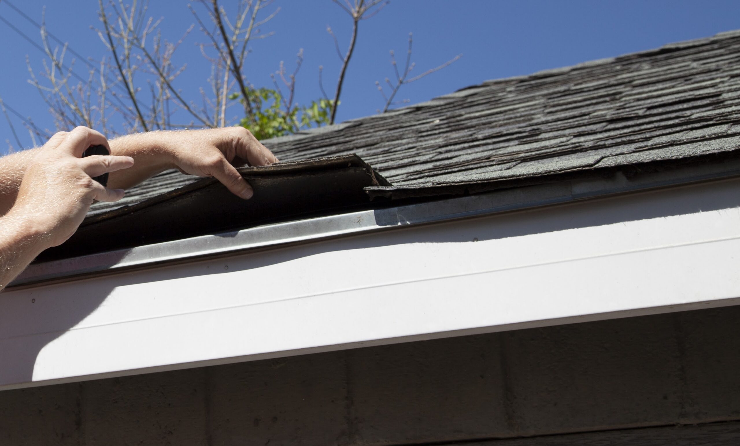 Can a Small Roof Leak Cause a Big Mold Problem?